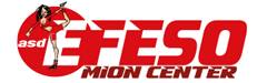 logo ASD Efeso Mion Club